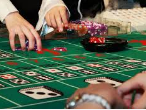 完美app下载2024最新版